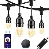 HVS Smart Outdoor String Lights LED
