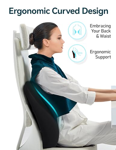 TRAVEL EASE Ergonomic Lumbar Support Cushion, Gel and Memory Foam Back Support Cushion for Office Chairs with Skin-Friendly Cover for Comfort (Black)