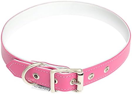 Honest Paw Genuine Leather Designer Dog Collar with Comfortable Soft Leather Interior