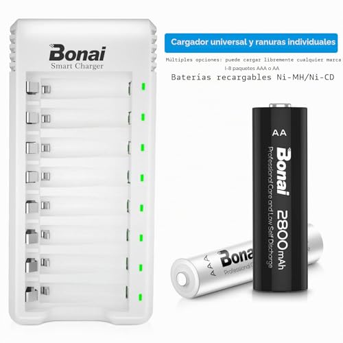 BONAI Rechargeable Ni-MH Battery Charger with 4 Pieces 2800mAh AA and 4 Pieces 1100mAh AAA Ni-MH Rechargeable Batteries with USB Port