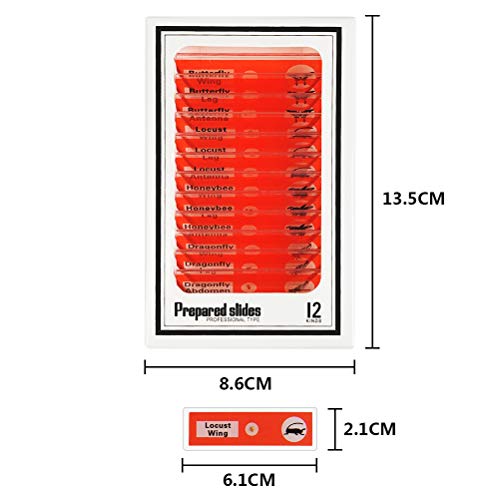 YOTINO 48Pcs Prepared Microscope Slides Specimen Animals Insects Plants Flowers Sample Biological Specimen, Stereo Microscope Slide for Kids Children Students Enlighten Education