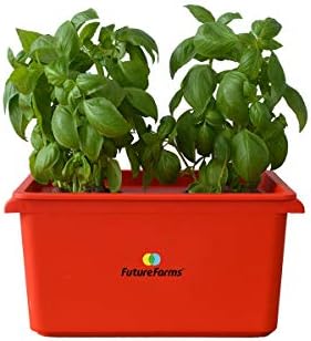 Darwin Junior Hydroponic Starter Kit (Red)