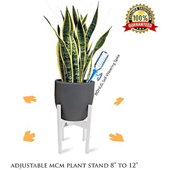 Extendable Mid Century Modern Plant Stand for Pot Sizes 8