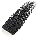 Brazilian Water Wave Closure Human Hair Lace Closure 8 inch Free Part 9A Water Hair Closure with Baby Hair Natural Black Color