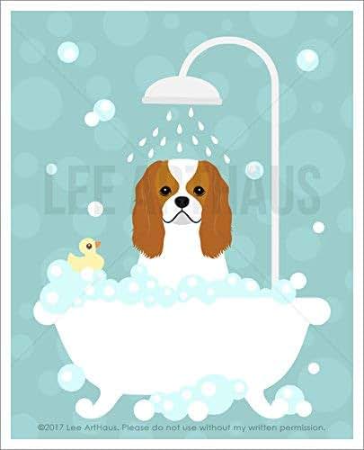 Amazon.com: 254D - Cavalier King Charles Spaniel Dog in ...