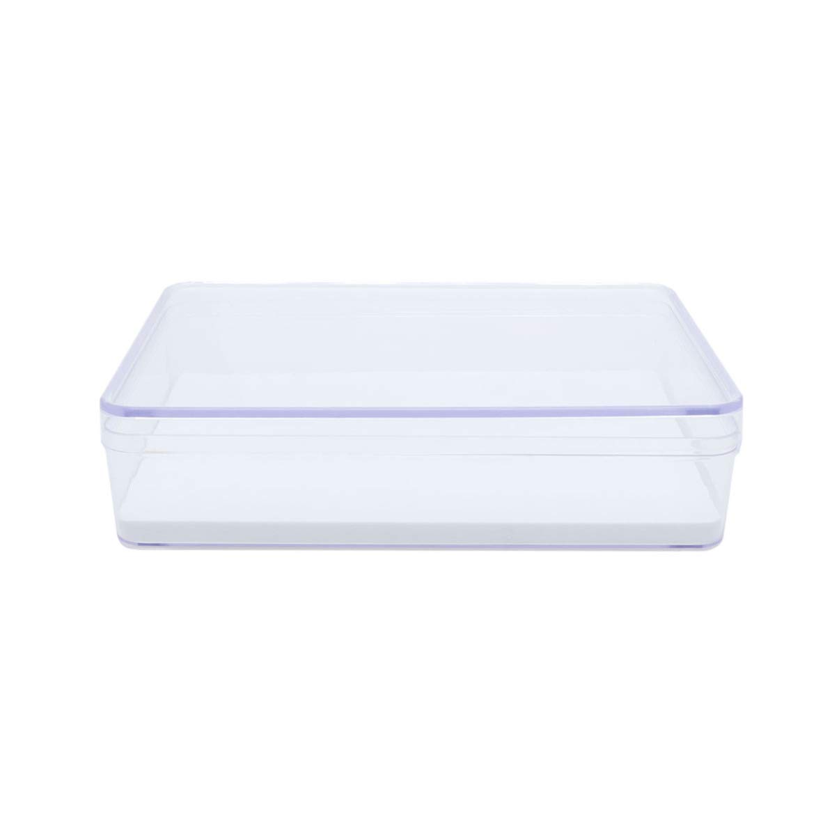 Balacoo Insect Specimen Box Clear Display Box Mini Plastic Storage Box for Insect Display Jewelry Storage Case