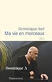 Ma vie en morceaux (Littérature française) (French Edition) by