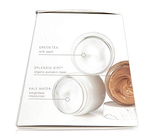 FARMHOUSE FRESH PURELY DEGUNKED 3-STEP INSTANT SPA FACIAL