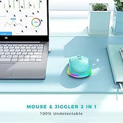 PEIOUS Wireless Mouse, Mouse Jiggler - LED Wireless