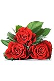 Rose Flower seeds, 10 piece red, by seedsofbloom