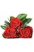 Rose Flower seeds 10 piece Red
