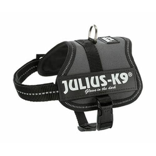 JULIUS-K9Powerharness, Size: 3XS/Baby 1, Anthracite
