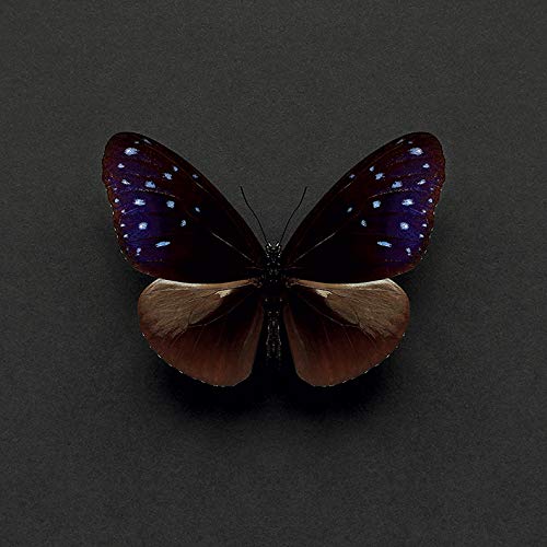 Alyson Fennell Canvas, Multi-Colour, 30 x 30 cm