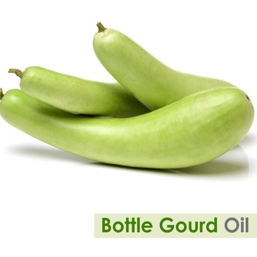 Bottle Gourd Oil (LAGENARIA SICERARIA) 100% Natural Pure Carrier Oil 100ML