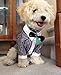 Small Dog & Cat Collar Bow Tie, Adjustable Puppy or Kitten Medium Neck Bowtie for Wedding Birthday D-BT-T1 (Black & White - Formal Tuxedo)