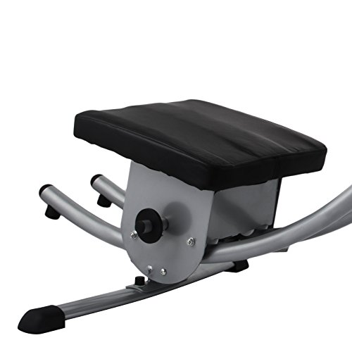 Popsport Abdomen Machine 330LBS Abdominal Coaster Abdomen Exercise Equipment with Adjustable Seat for Abdominal Muscle Training (Ab Coaster with 4 Dumbbells and wriggled Plate)