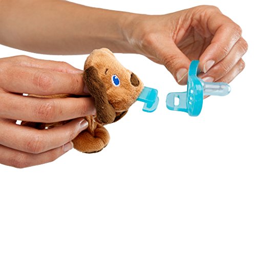 bright starts cozy coos