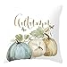 AmyDong Clearance Thanksgiving Square Cover Decor Pillow Case Sofa Waist Throw Cushion Cushion Cover (B)