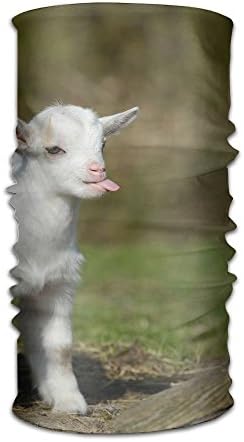 Funny Baby Goat Smile Moment Unisex Fashion Quick-drying Microfiber Headdress Outdoor Magic Scarf Neck Neck Scarf Hooded Scarf Super Soft Handle