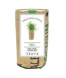 Urban Agriculture Herb Garden - Dill