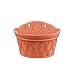 Candyqueen 1Pcs Wall-Mounted Planter Hanging Planter Flower Pot Plastic Planter Random Colorthumb 3