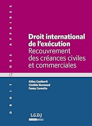 Droit international de l'exécution