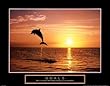 Atlantic Spotted Dolphin, Bahamas Photographic Poster Print by David B. Fleetham, 18x24
