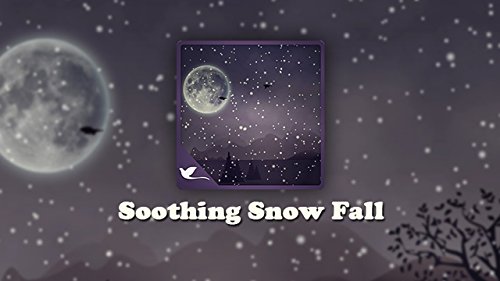 Soothing Snow Fall - A Lonely Evening Landscape View