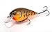 Strike King KVD Squarebill Crankbait (Org Belly Craw (564), 1.5-Ounce)