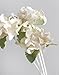 White Hydrangea Mulberry Paper Flower with Reed Diffuser for Home Fragrance Aroma Oil by Plawanature