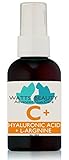 Watts Beauty Moisturizing Hyaluronic Acid Advanced Skin Gel, 2.0 Ounce
