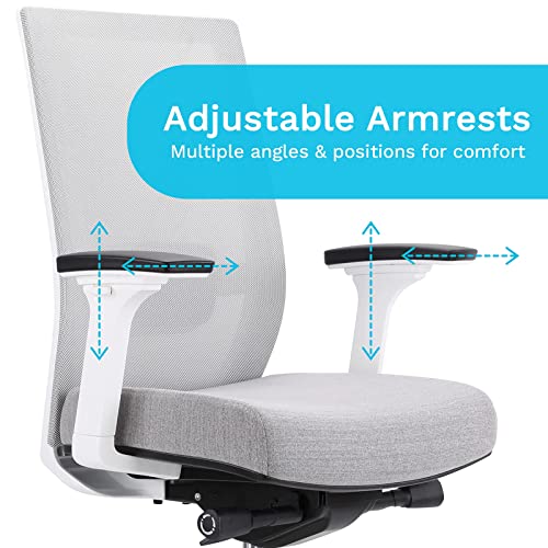 EasyErgo Apollo Ergonomic Chair Ergo Mesh Design for Computer Desk