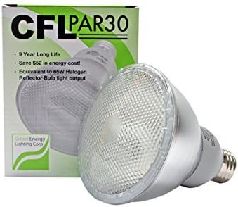 15W CFL PAR30 Fluorescent 6500K Daylight (65W Equivalent)