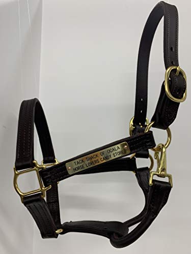 Tack Shack Of Ocala Leather Halter with Customized Engraved Name Plate (Cob)
