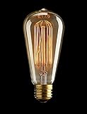 DG ST64 -1 Pack Vintage Edison Bulbs-Squirrel Cage Filament-60 Watt Antique Edison Bulbs- Dimmable