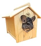 Chinchilla Bath House Hideout
