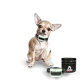 Bark Collar Small Dog - RECHARGEABLE PAIN FREE XS - Small - Beep & Vibration - Recommended Sensitive Anxious Dogs - Our K9 'Mint' Worlds Smallest Rechargeable Bark Collar
