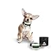 Mint Bark Collar For XXS – Small Sized Dogs – Beep – Vibration – Rechargeable - No Pain Anti Bark Collars - 5lb to 30lb – No More Expensive Batteries – Easy to Use.
