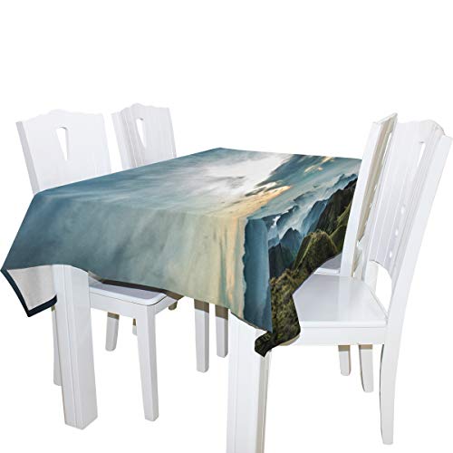 LORVIES Rectangle Lanscape Tablecloth for Wedding Party Holidays Washable Polyester Table Cloth Cover, 54 x 72 Inch