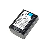 Sony DCR-SX85 HDR-CX560V HDR-CX300 HDR-XR350V HDR-XR550V NP-FV50 Replacement Lithium-Ion Battery (1050 mAh)