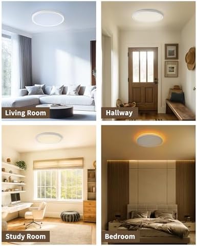 Plafón LED Regulable 24W con Mando – Lámpara de Techo con Luz Nocturna 2000K, Temporizador, Diseño Redondo Ultrafino para Dormitorio, Salón, Cocina, Habitación Infantil Ø30cm