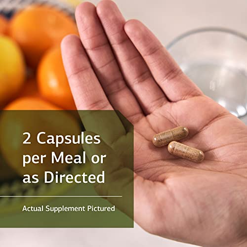 Standard Process Iplex Whole Food Vascular Supplement, Eye Health and