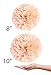 Vidal Crafts 30 Pcs Party Tissue Pom Poms Kit (14