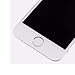 cellphoneage For iPhone 5S New LCD Screen Replacement with Home Button and Camara White Full Set Glass Digitizer Display Assembly Replacement With Free Tool Kits (White.)