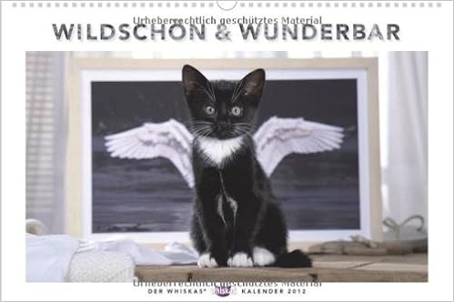 Whiskas Katzenkalender 2012 Amazon De Heye Bucher