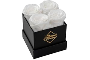 GLAMOUR BOUTIQUE Preserved Roses in a Box - Valentines Day Gifts for Her & Mom, 4 Roses Flowers Decor for Birthday Gift, Cased in A Square Gift Box with Lid, 4” x4” x5 - White