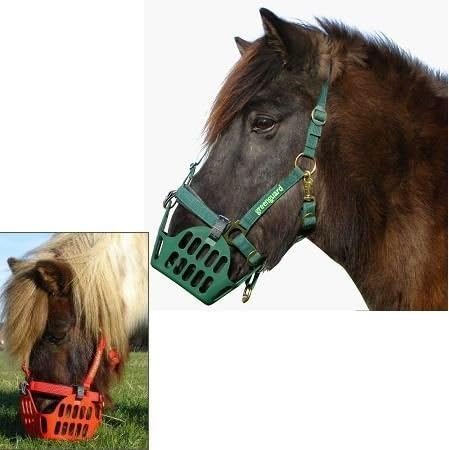Greenguard Set - Food stop Muzzle with Halter