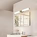 Vanity Light Bathroom Light LED Wall Light White Acrylic Round Tube Cool White 6000 K Goobi Lighting (16w,15.7inches)