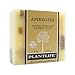 Plantlife Ambrosia Bar Soap - Moisturizing and Soothing Soap for Your Skin - Hand Crafted Using Plant-Based Ingredients - Made in California 4oz Bar