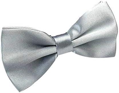 Gravata Adulto Borboleta prata